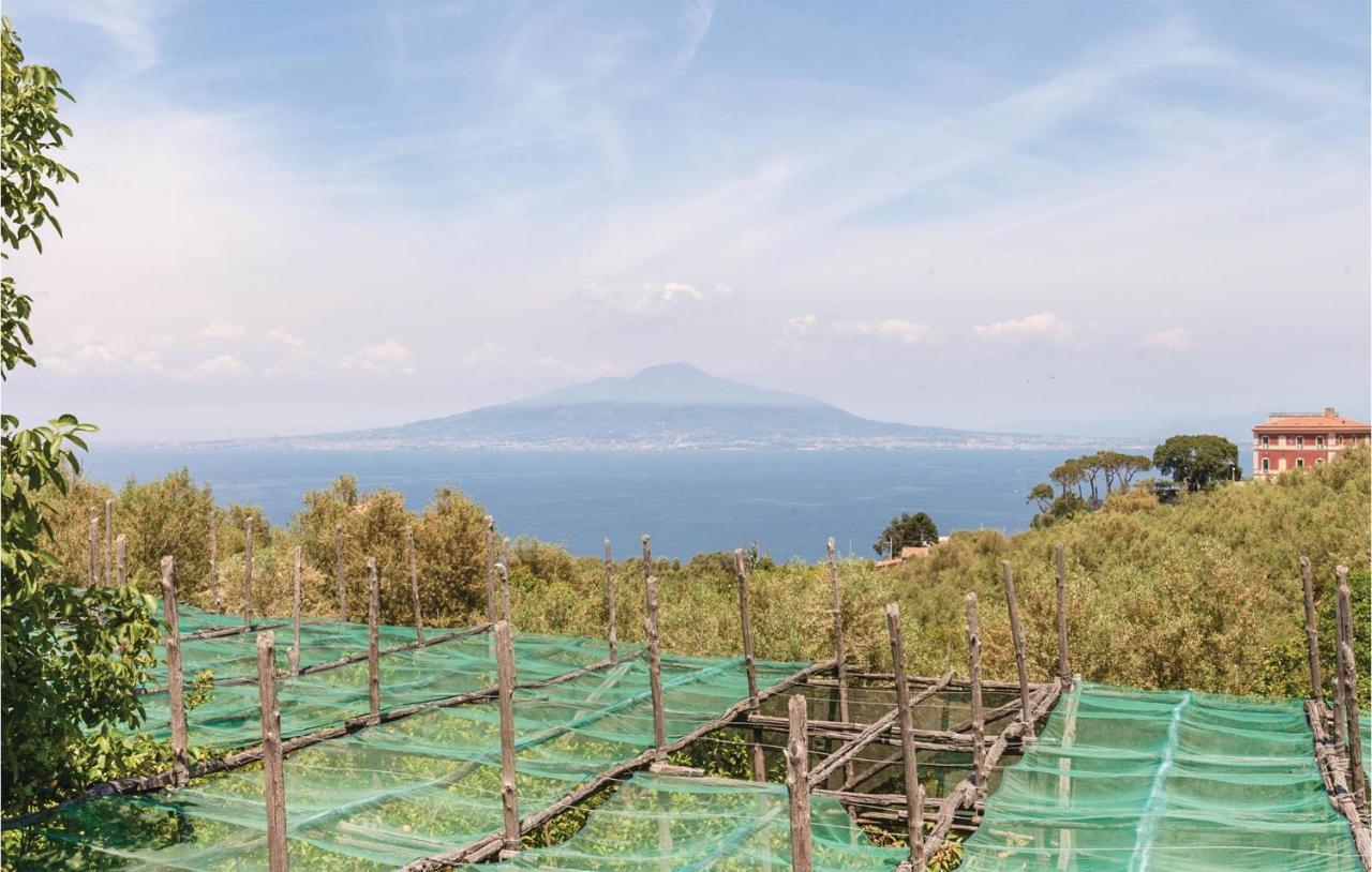 Villa La Limonaia Сорренто Экстерьер фото